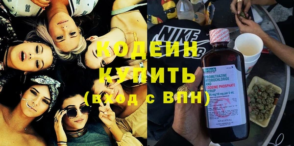 хмурый Новозыбков