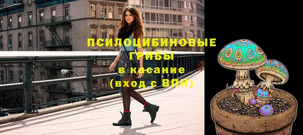 ECSTASY Нязепетровск