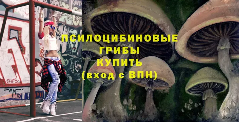 Псилоцибиновые грибы Psilocybe  Краснотурьинск 