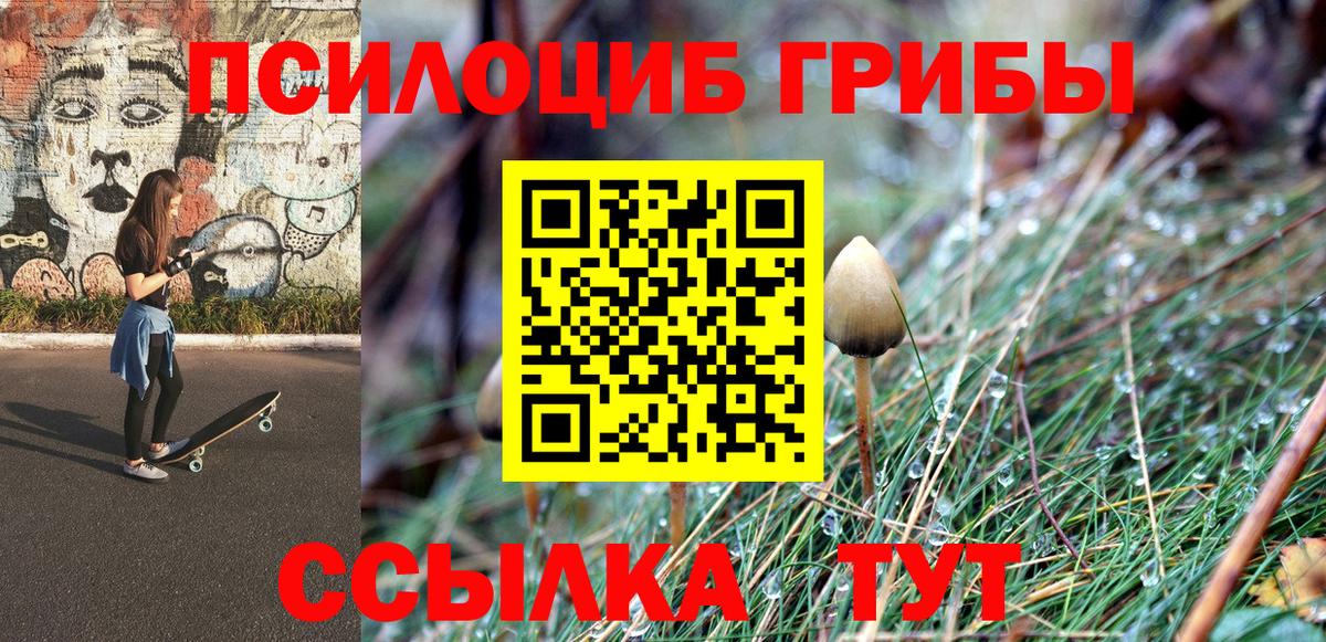 Псилоцибиновые грибы мицелий  Вход с VPN  Краснотурьинск 